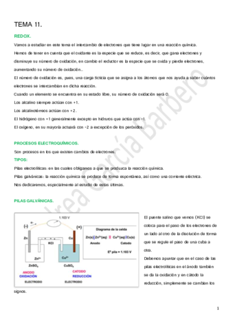 TEMA 11 -Redox.pdf