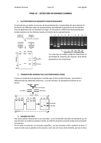 Tema2C.pdf