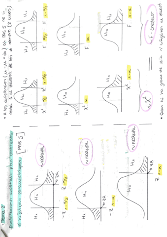 RESUM-DE-TOTS-ELS-TEMES.pdf