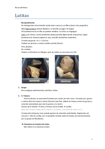 Rocas-detriticas.pdf