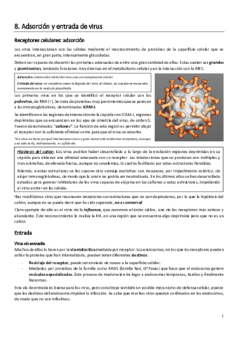Virologia-Apuntes-2o-parcial.pdf