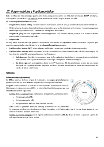 Virologia-apuntes-3a-parte.pdf