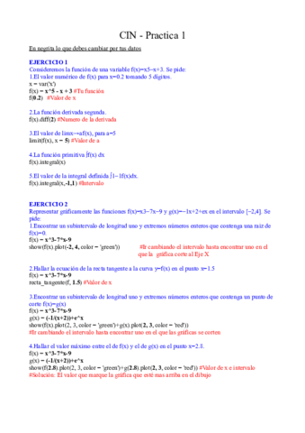 CIN-Practica-1-Resuelta.pdf