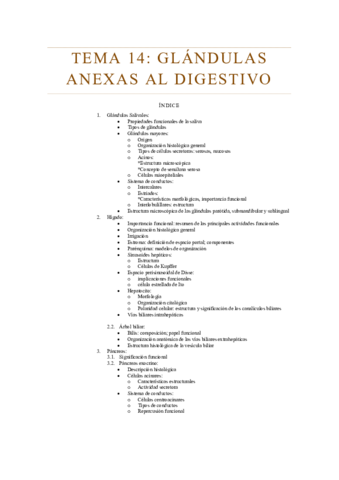 Tema-14-ORGA.pdf