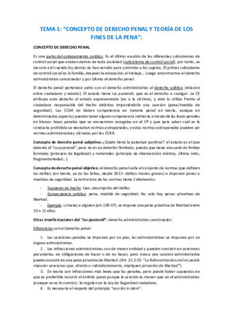tema-1-penal.pdf