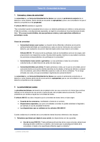 Tema-12-Comunidad-de-bienes.pdf