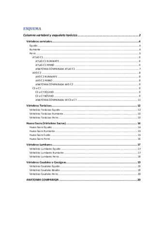 Columna-vertebral-y-esqueleto-toracico.pdf