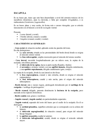 ESCAPULA-y-HUMERO.pdf