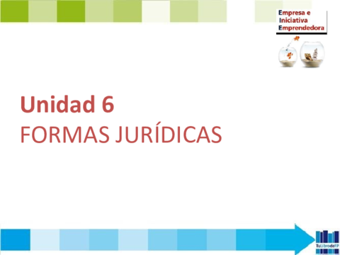 006-EIE-6-FORMAS-JURIDICAS-2017.pdf