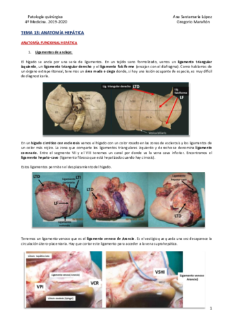 Tema-13-Anatomia-hepatica.pdf