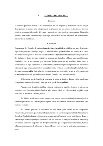 Resumen-Completo-de-Introduccio-al-Derecho-Procesal.pdf