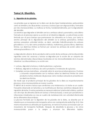 Tema 14.pdf