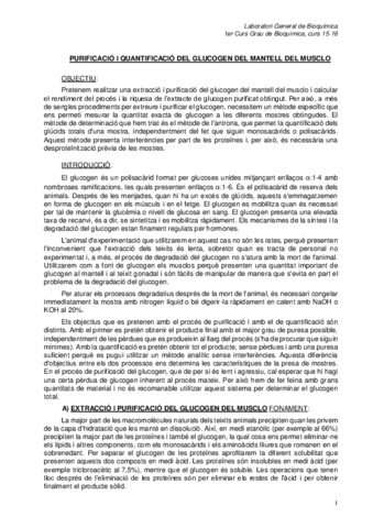 Protocol tema14 (15_16).pdf