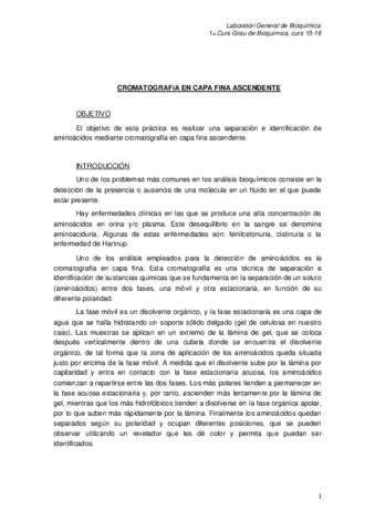 T 11 Protocolo Cromatografía 2015-16.pdf