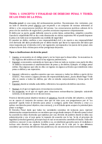 PENAL-APUNTES.pdf