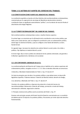 TEMA 2.pdf