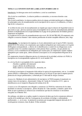 TEMA 3.pdf