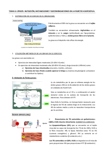 Tema-6-Lipidos.pdf