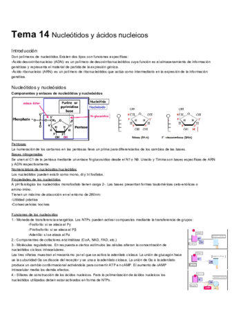 Tema-14.pdf