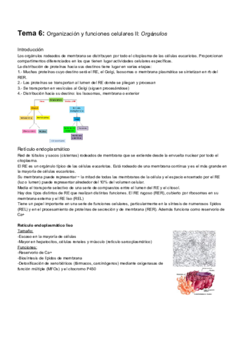 Tema-6.pdf