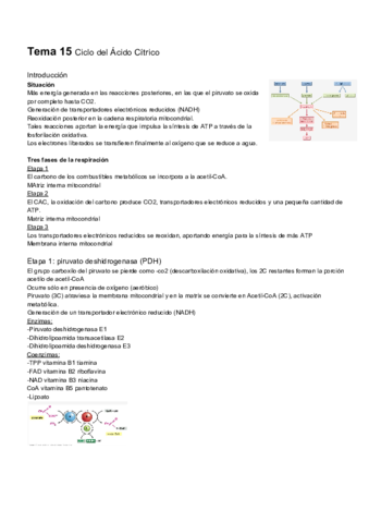 Tema-15-.pdf