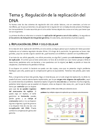 Tema-5-proliferacion-limpio.pdf