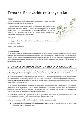 Tema-11-Destino.pdf