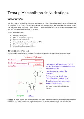 Tema-7-Metabolismo.pdf