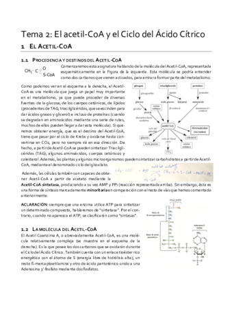 Tema-2.pdf