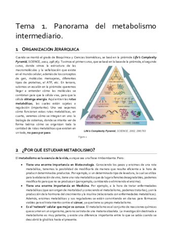 Tema-1-limpio.pdf