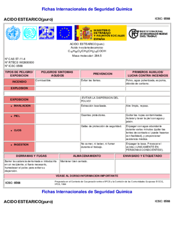 nspn0568-estearico.pdf