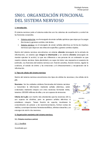 TEMA-2-SN01-Resumen.pdf