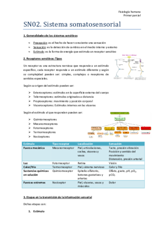TEMA-2-SN02-Resumen.pdf