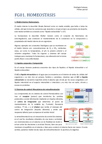 TEMA-1-FG01-Resumen.pdf