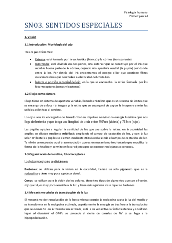 TEMA-2-SN03-Resumen.pdf