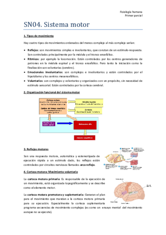TEMA-2-SN04-Resumen.pdf