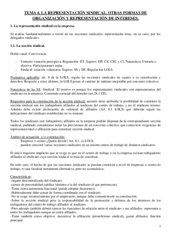 TEMA-4-SINDICAL.pdf