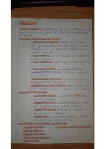 Riesgos-laboralesscn.pdf