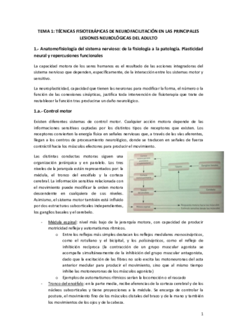 FEC IV.pdf