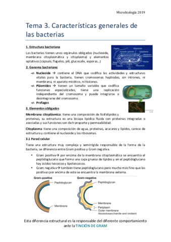 Tema-3.pdf