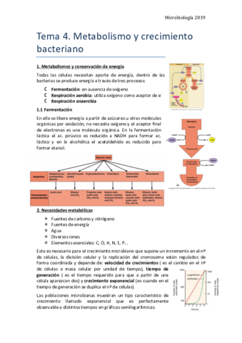 Tema-4.pdf