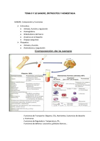 Tema-9-y-10-Sangre-eritrocitos-y-hemostasia.pdf