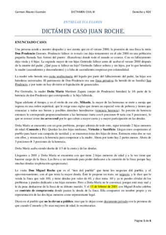DICTAMEN-CASO-JUAN-ROCHE-CARMEN.pdf