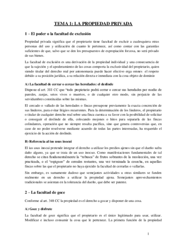 Civil-III-Derechos-Reales.pdf