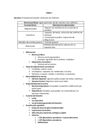 TEMA 1.pdf