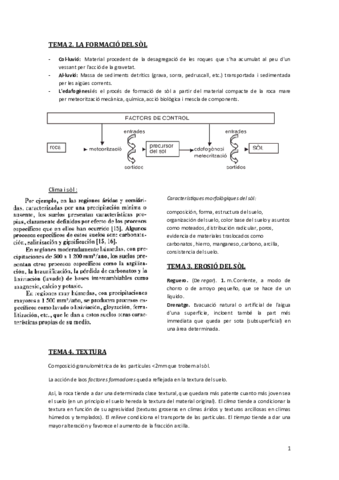 Apunts ciencia del sol.pdf