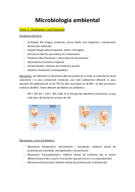 tema3micro.pdf