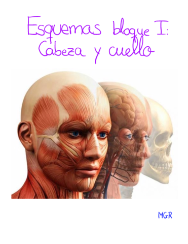 Bloque-I-Cabeza-y-cuello-1-20.pdf