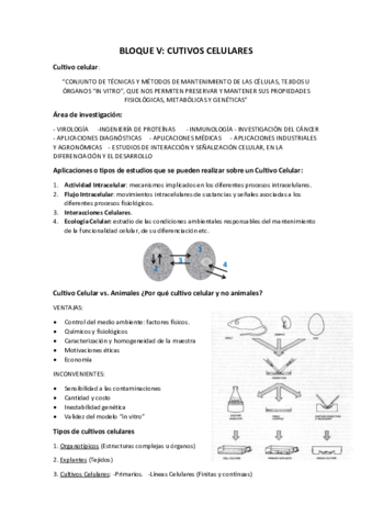 BLOQUE-V.pdf