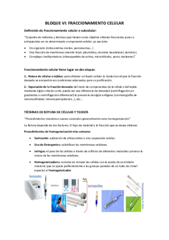BLOQUE-VI.pdf